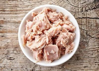 آیا کنسرو تن ماهی برای شما مفید است یا خیر؟ آیا کنسرو تن ماهی برای شما مفید است یا خیر؟